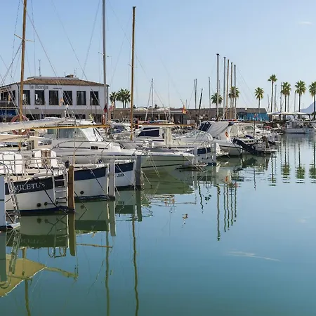 Oronella Port de Pollenca